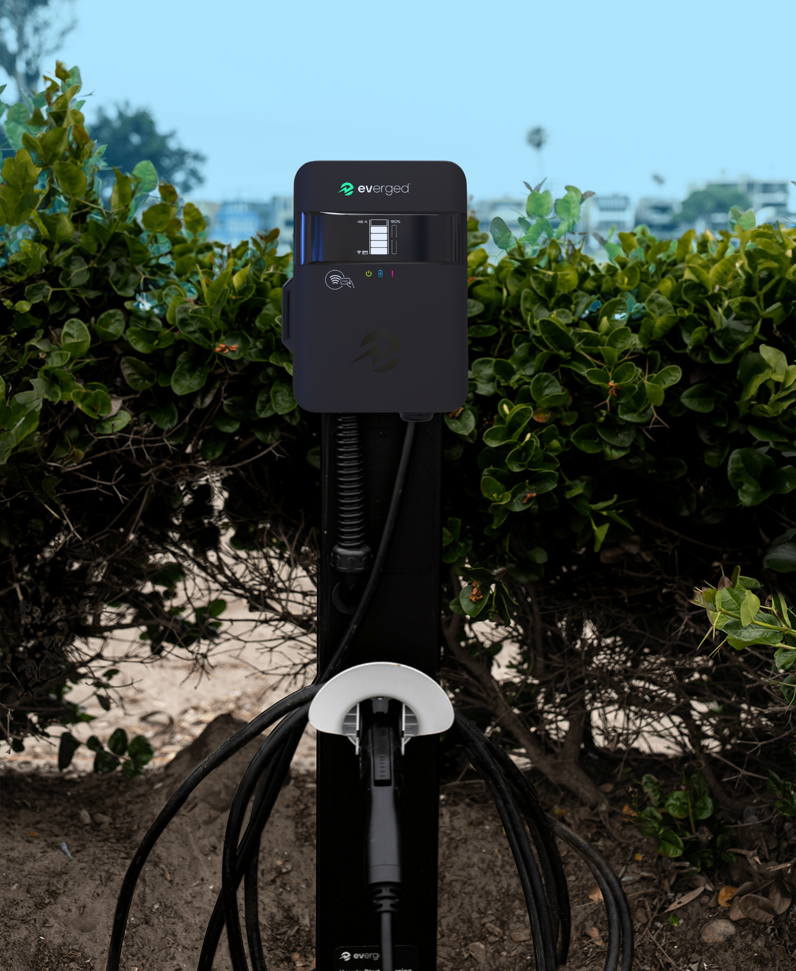 Untitled design (10)